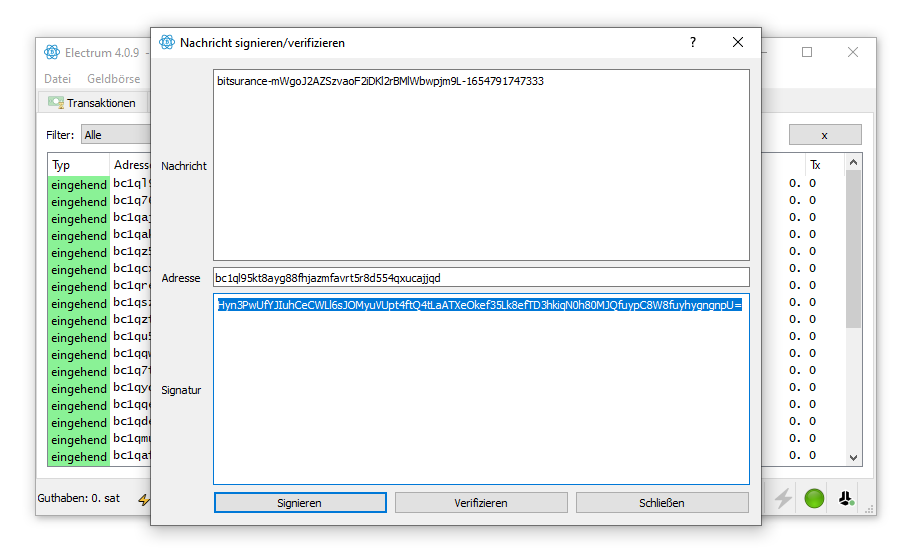 Electrum Dialog mit markierter Signatur zum Kopieren